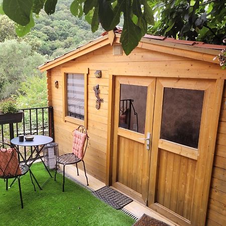Loue Chalet De 11M2 Auribeau-sur-Siagne Exterior foto